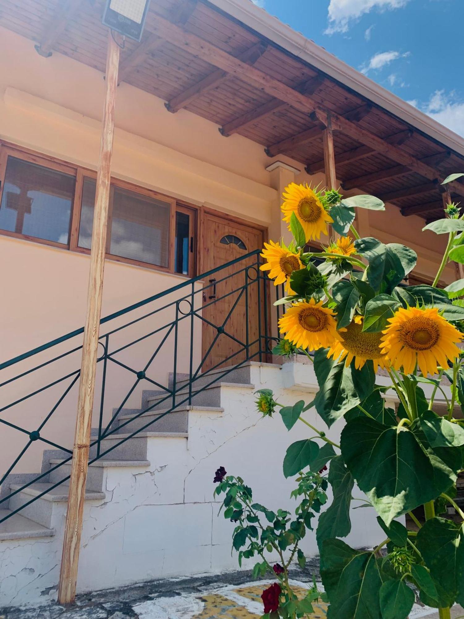 Bokas Exotic House Apartment Tragana  Luaran gambar